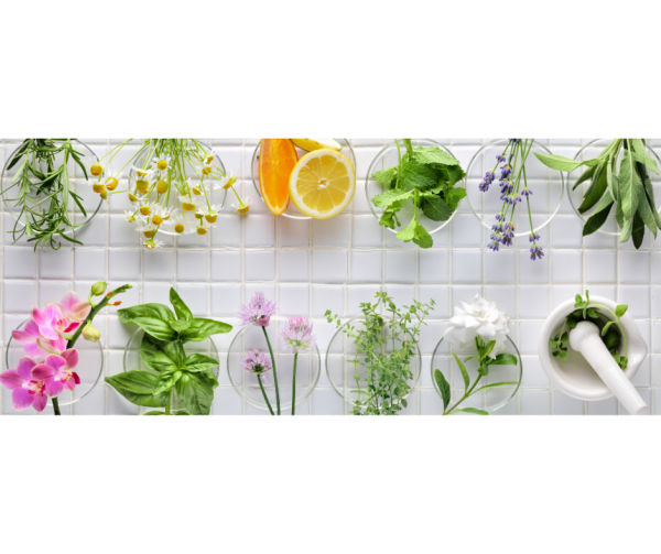 E-book Vegetarisch eten & weten - Afbeelding 6